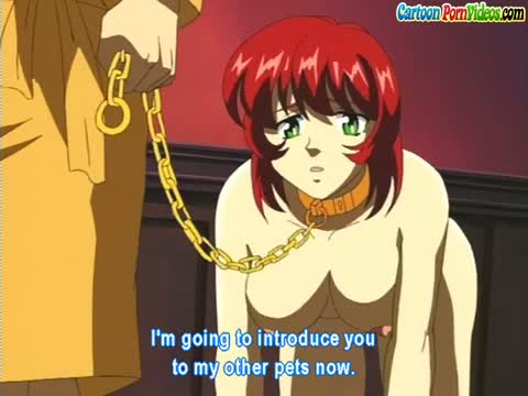 Hentai Series — Horny Anime Girl Gets Pounded Doggystyle Then Covered in a Huge Facial and Tit Cumshot